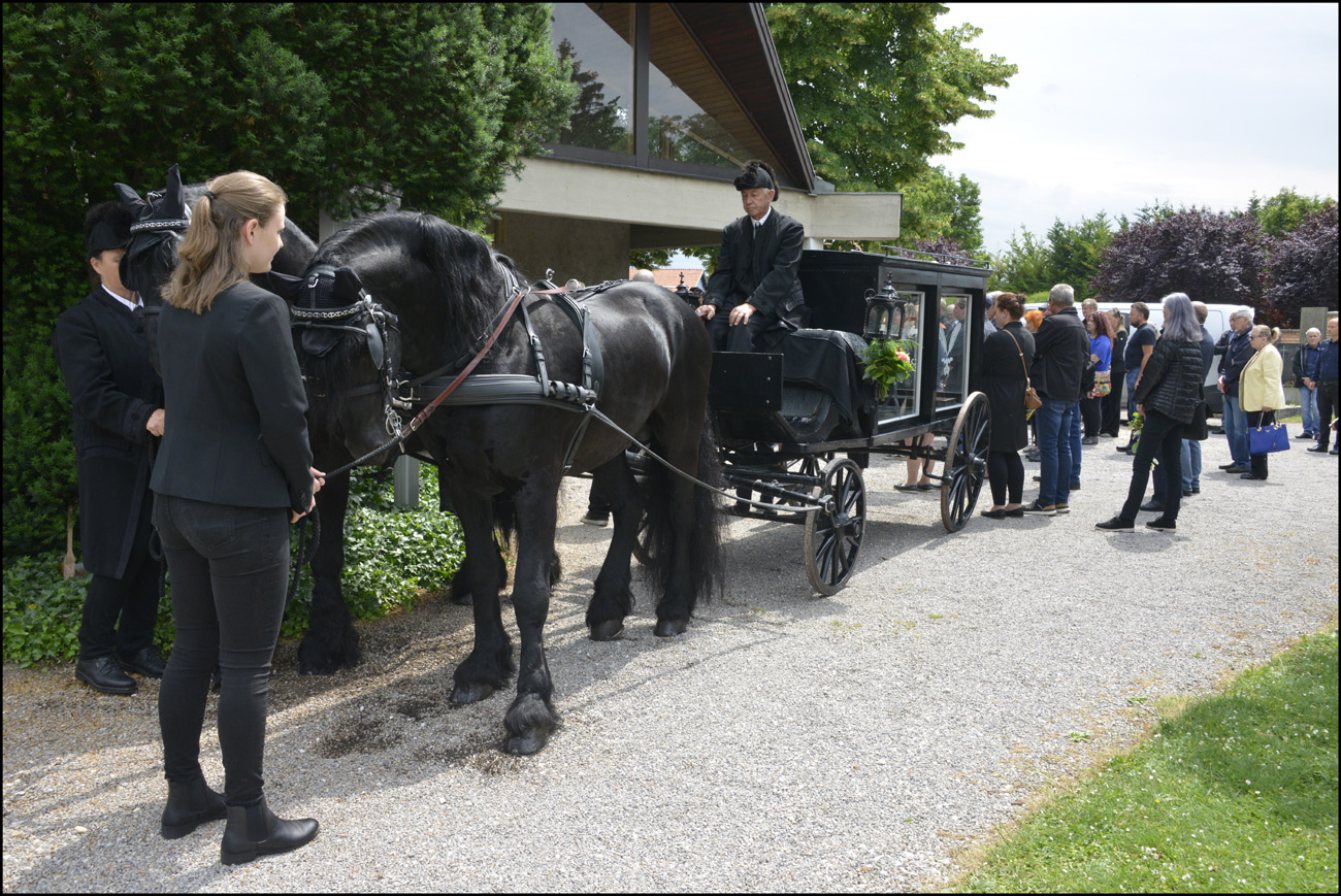 Der Letzte Weg Des Herrn Anton Taborsky Am Juni Am Friedhof