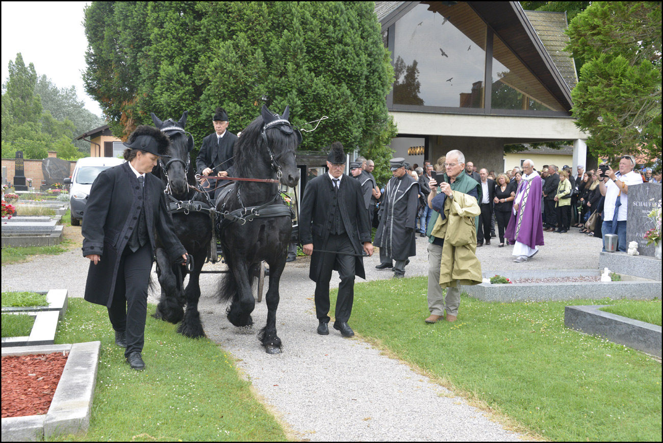 Der Letzte Weg Des Herrn Anton Taborsky Am Juni Am Friedhof